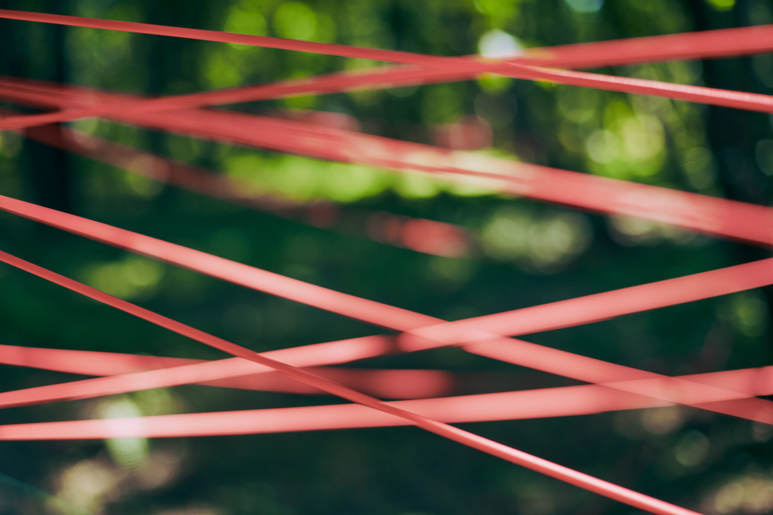red-tangled-ropes-in-green-forest-foliage-abstrac-2026-03-25-10-18-23-utc
