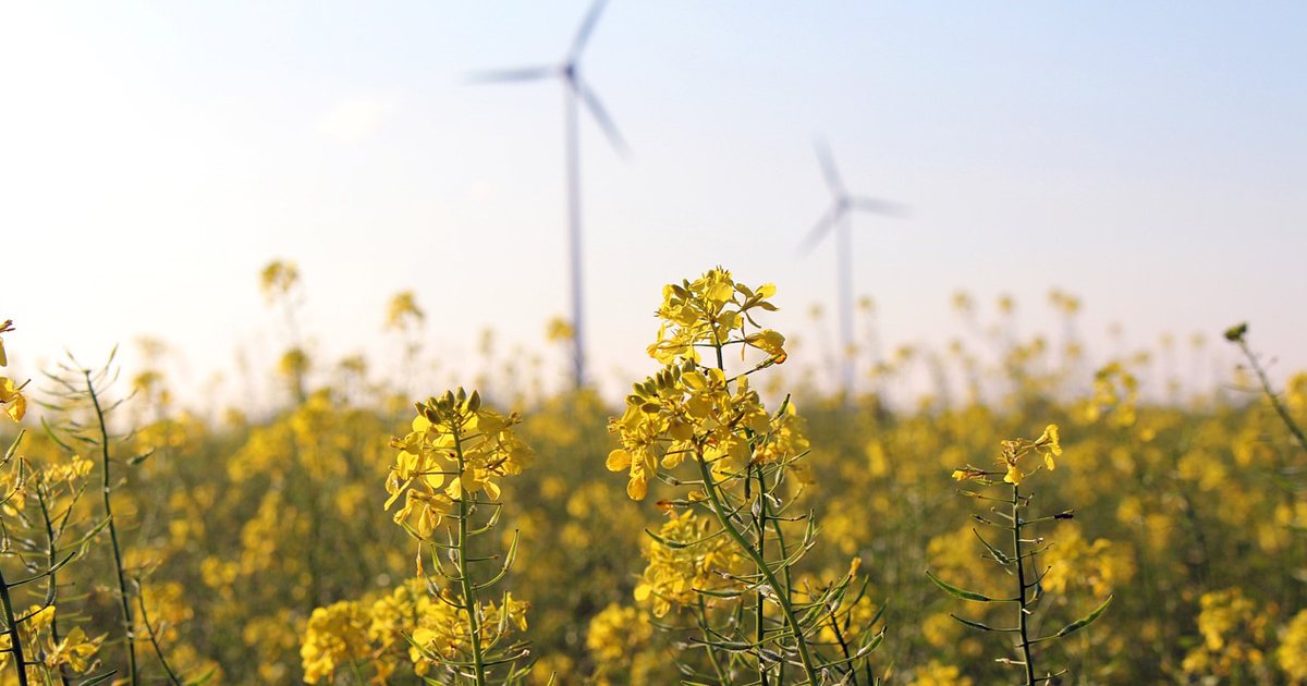 1200-630-flower-turbines-pd