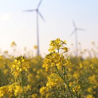 1200-630-flower-turbines-pd