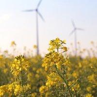1200-630-flower-turbines-pd