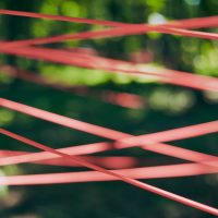 red-tangled-ropes-in-green-forest-foliage-abstrac-2026-03-25-10-18-23-utc