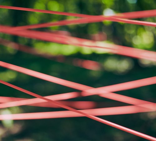 red-tangled-ropes-in-green-forest-foliage-abstrac-2026-03-25-10-18-23-utc