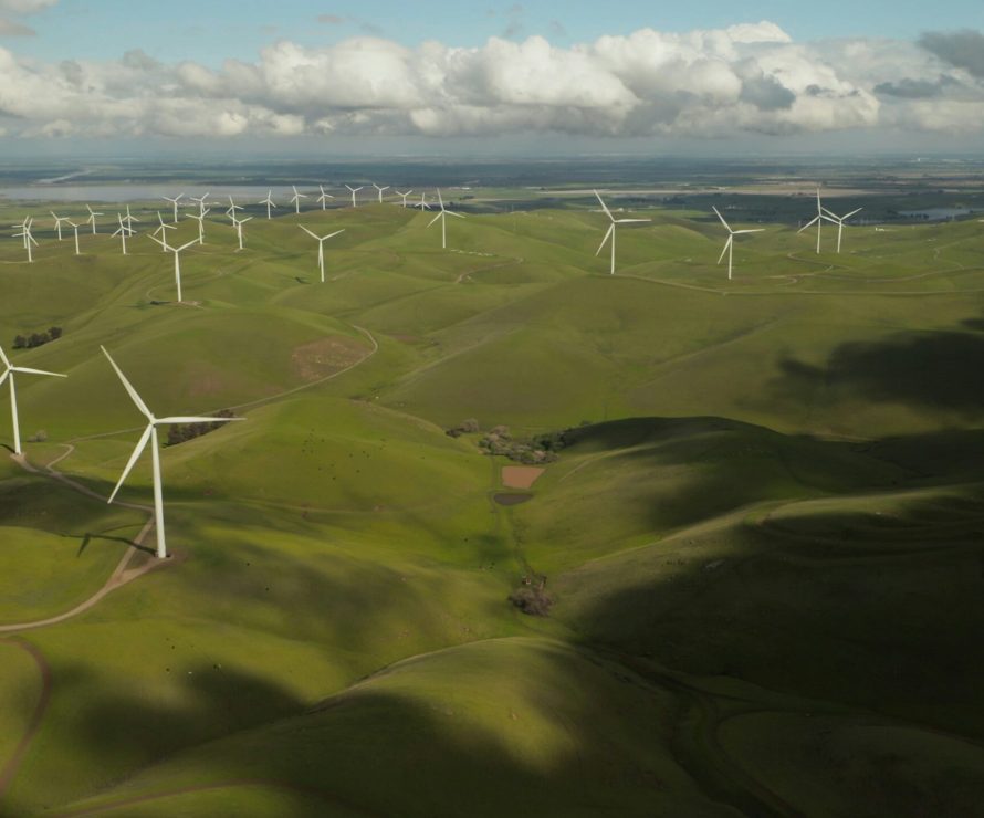 tyler-casey-ficbiwfOPSo-unsplash